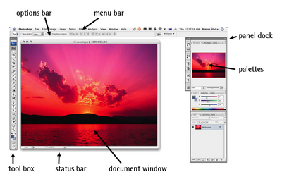 The Photoshop workspace