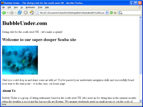 1533_bubbleunderwimage