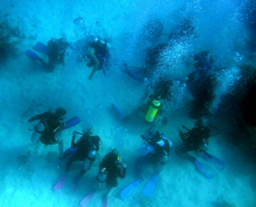 1533_diverscircle
