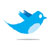 Image for If Twitter Charges, Users Would Pay: Survey