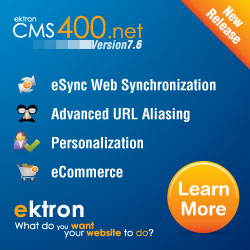 ektron - what do you want your web site to do?