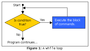 Figure 1: A while loop