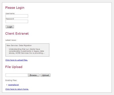 Screenshot of our login sections