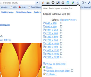 Webpage Screenshot